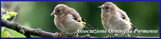 Associazione Ornitofila Parmense
