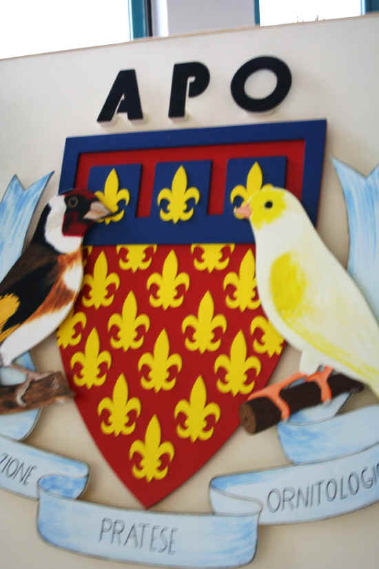 Associazione Pratese Ornitologica