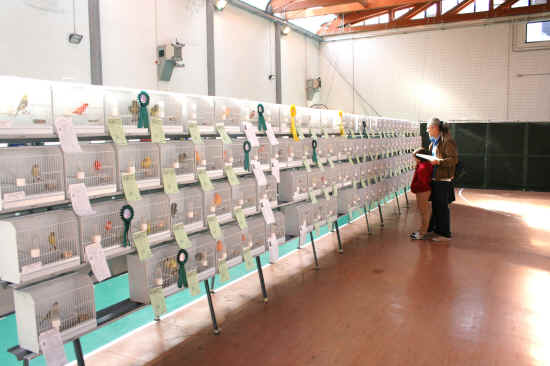 Mostra Ornitologica Nazionale di Firenze 2011