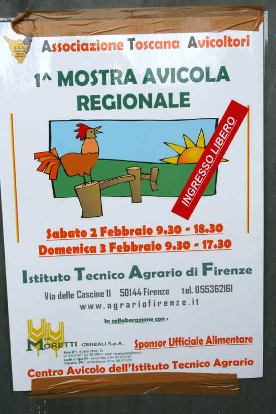 Mostra Regionale Firenze 2013