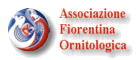 Associazione Fiorentina Ornitologica
