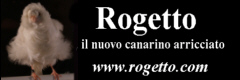 rogetto