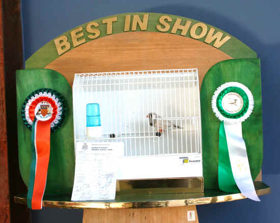 best in show prato 2011