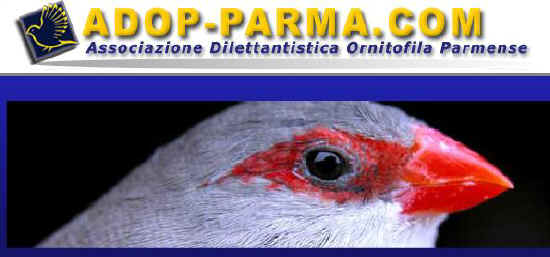 associazione dilettantistica ornitofila parmense